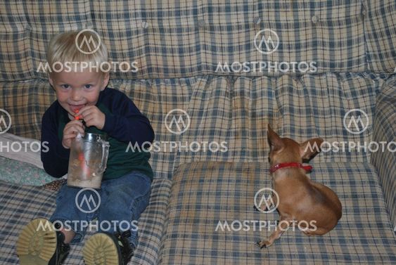 boy and his dog