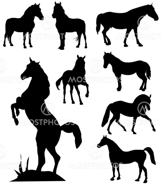 vector silhouettes of horses
