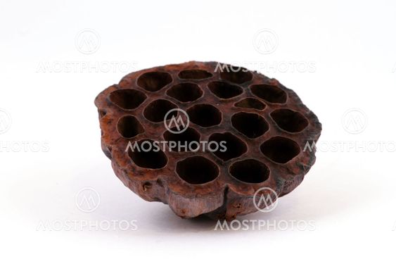 aromatic home accessories