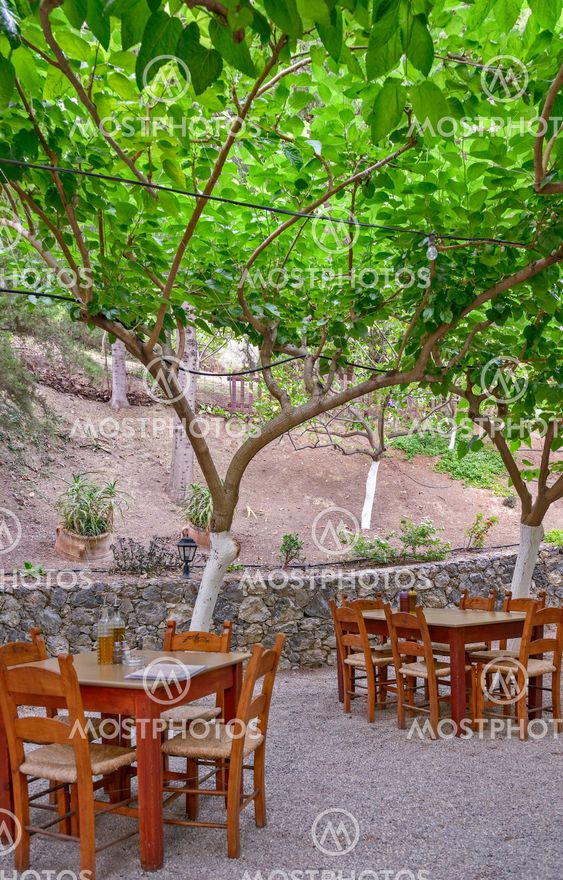 Street cafe under trees