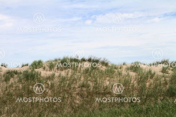 Sand dune with grasses