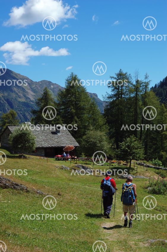 Trekkers