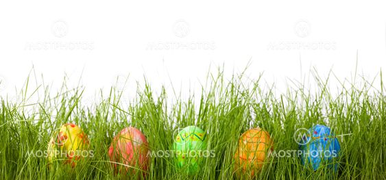 Easter eggs in fresh green grass