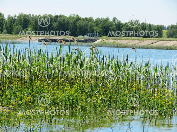 На водохранилище