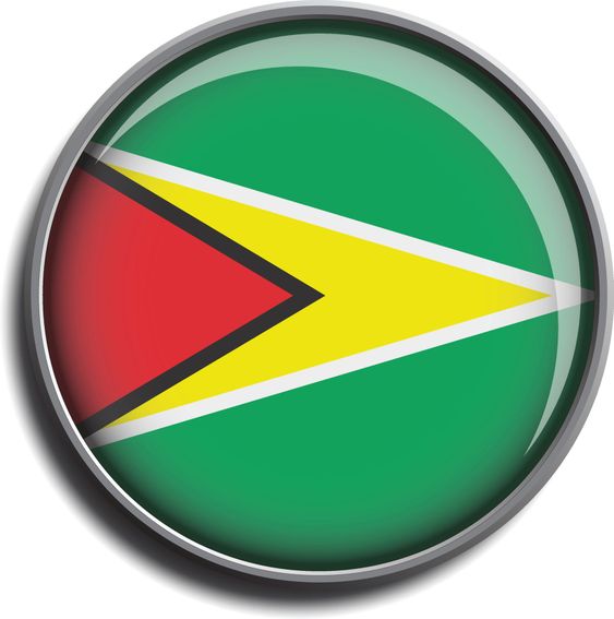 flag icon web button guyana