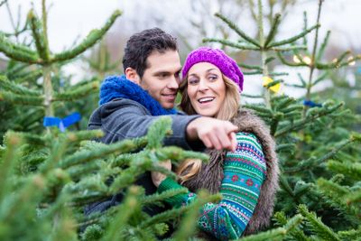 Couple looking to buy Christmas trees