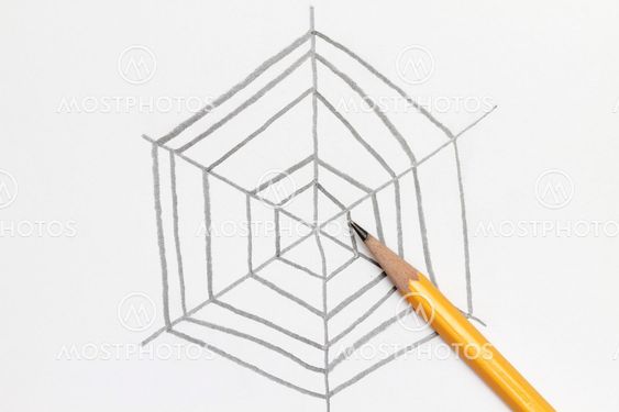 Sketch of spider web