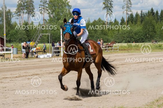 Hevonen