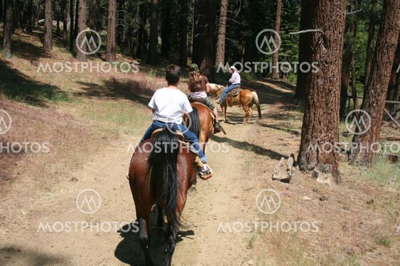Stable horse family ride