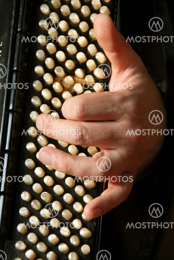 Musician hand playing accordion