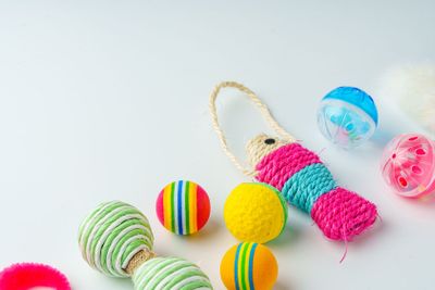 Cat toys isolated on white background studio shot