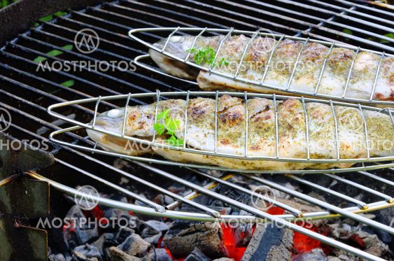 Grillen Forelle - grilling trout 09