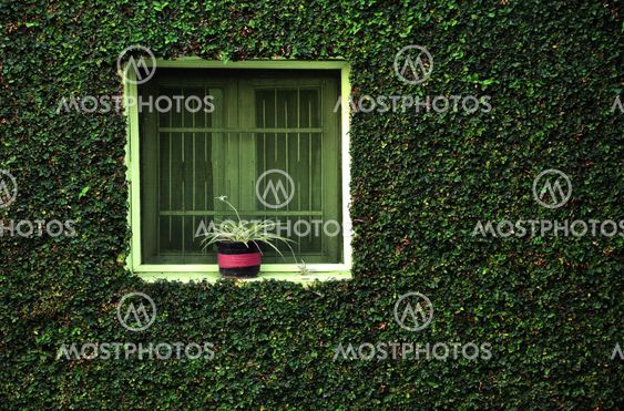 View of a Window