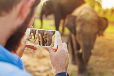 man photographing baby elephant with his mobile phone...