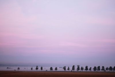 träd på rad i skåne 