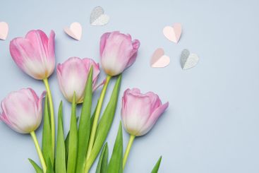 Pink tulips and paper hearts creating a romantic atmosphere