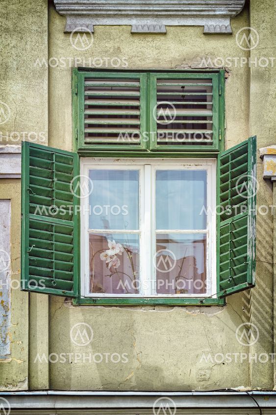 Window