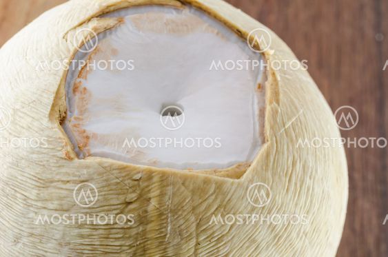 Coconut