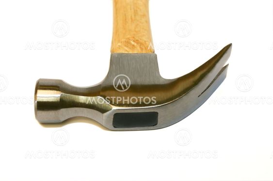 isolated hammer head