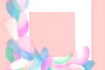 Feather Abstract Beautiful Background Frame