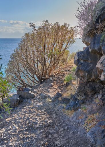Mountain, slope and trail with beach view, scenery or...