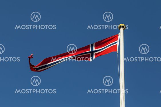Norwegian Flag
