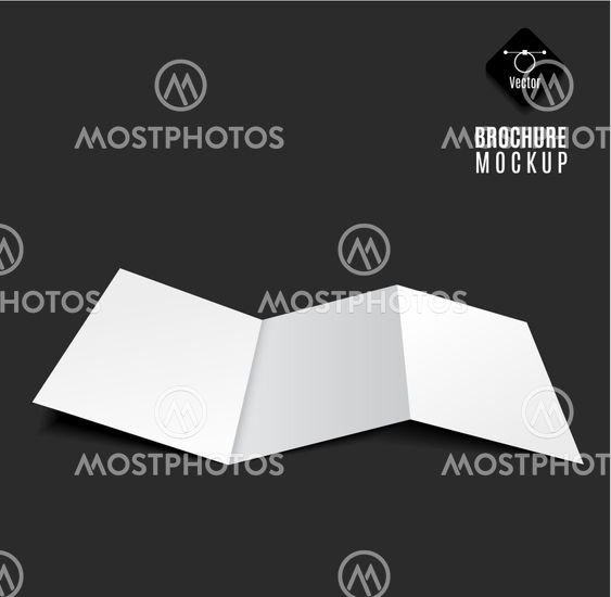 blank tri-fold brochure