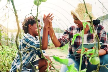 Gardening, mother and boy with vegetables, high five and...