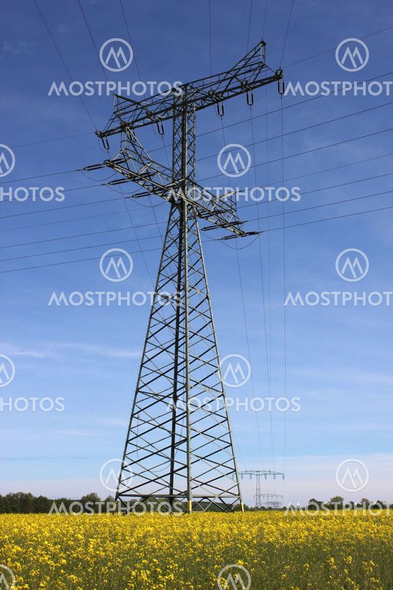 Power Line And Rapeseed