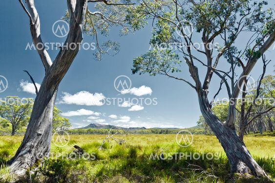 Tasmania