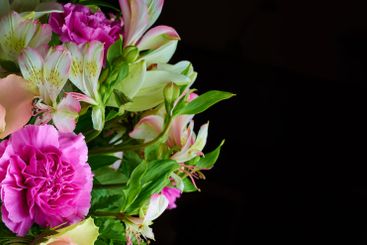 Bouquet, gift and space with flowers in studio for...