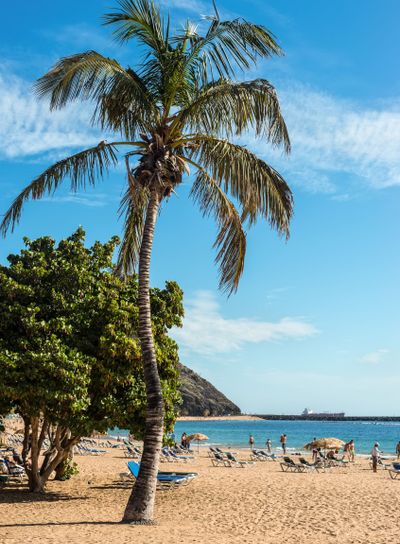 Las Teresitas beach, Tenerife, Canary Islands, Spain