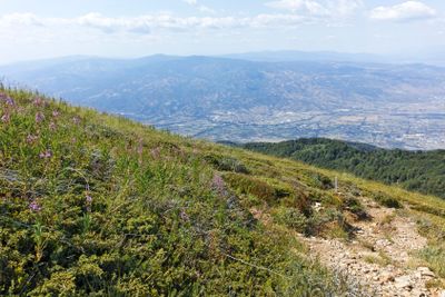 Summer landscape of Belasitsa Mountain, Bulgaria