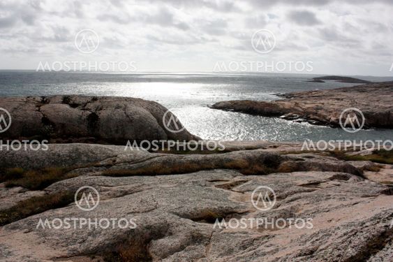 katarinalindahl59