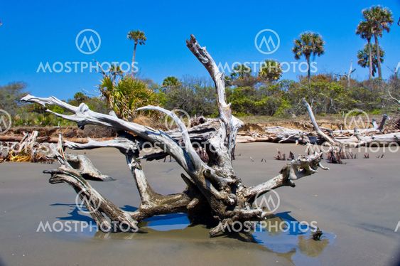 Boneyard Beach