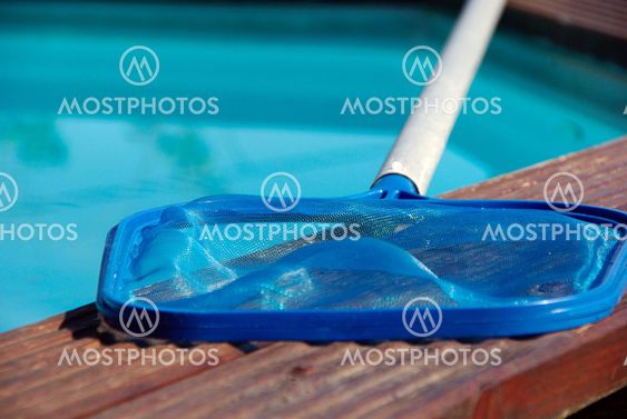The swimming pool and its landing net