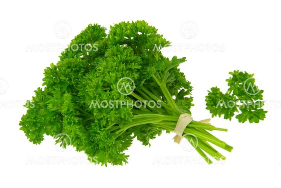 Petersilie - parsley 15
