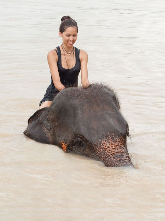 Girl has bath with elephant