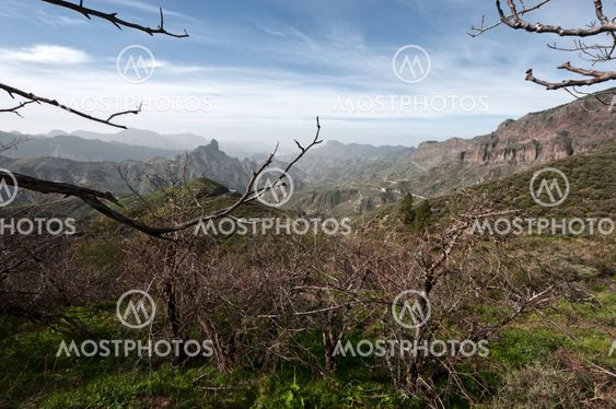 Gran Canaria mountains