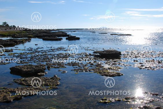 Kalkstenshällar på Öland