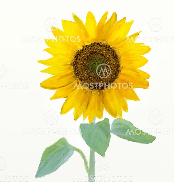Watercolor -Sunflower