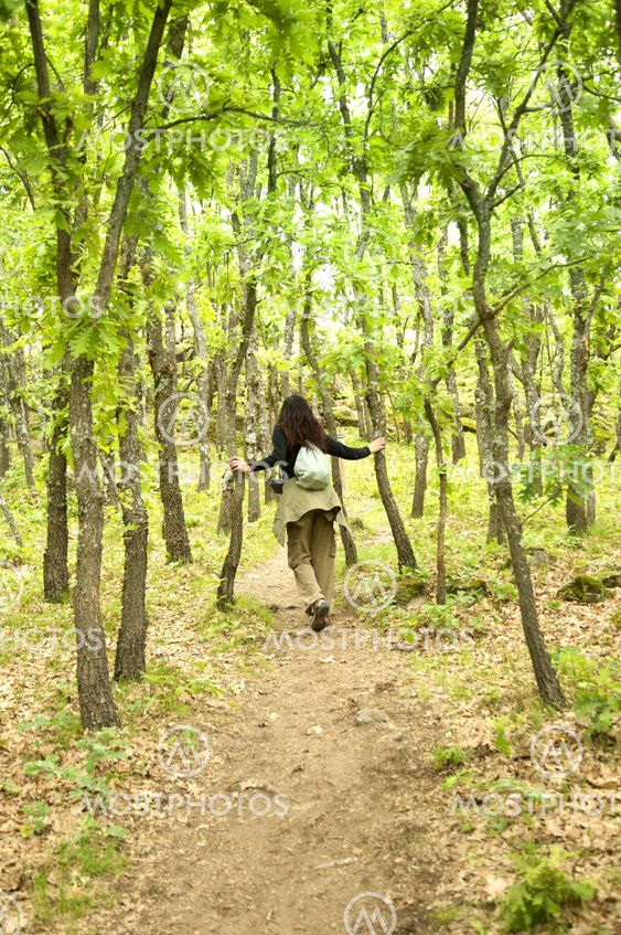 vidrör träd i skogen