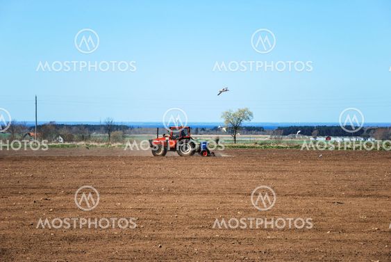 Tractor corn seeding at springtime
