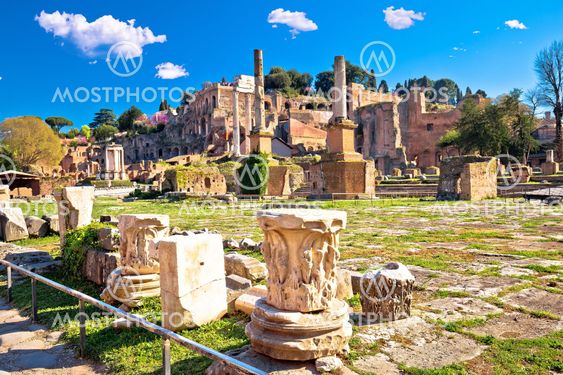 Ancient Rome Forum Romanum and Palatine hill scenic view