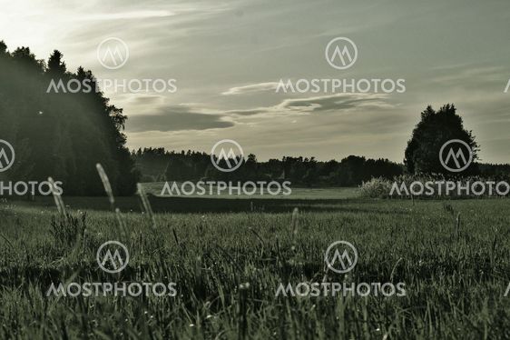 depressed field