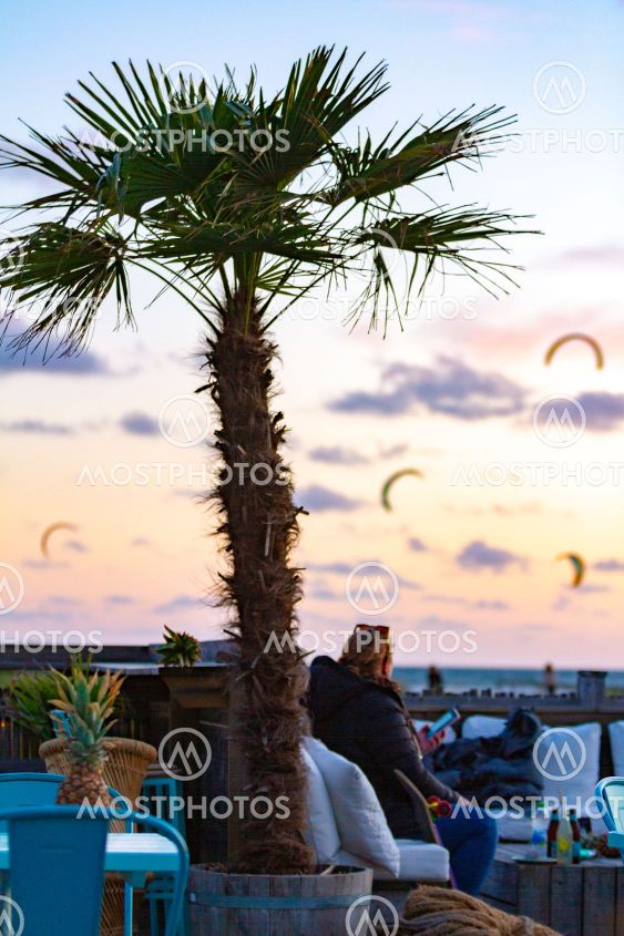 Tropical vibes and surf feeling in Apelviken Varberg...