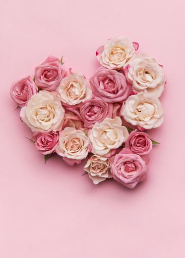 Heart of roses forming a romantic symbol on pink background