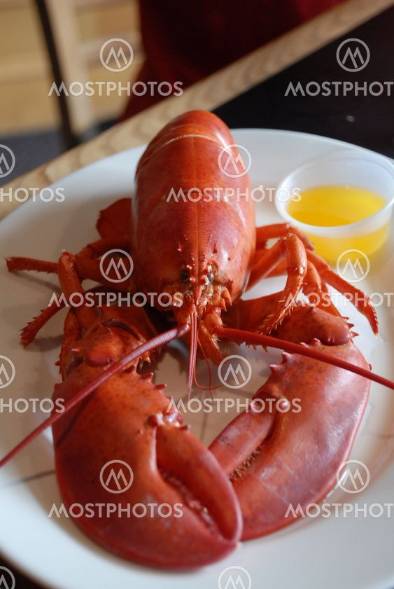 Red Lobster