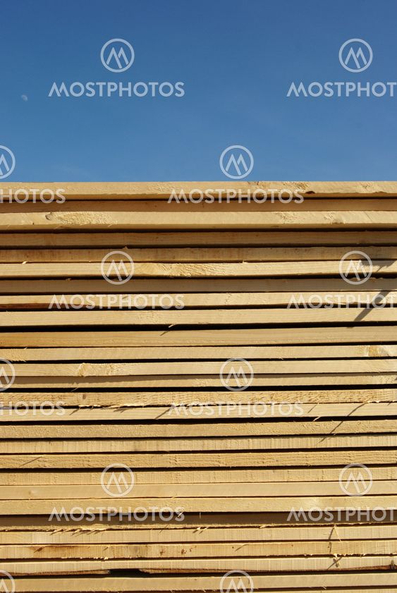 Plank