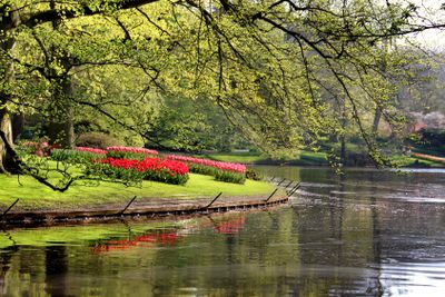 Beautiful park in spring with pond